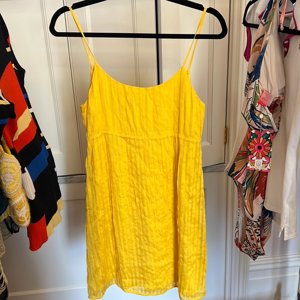 Alice and Olivia dress